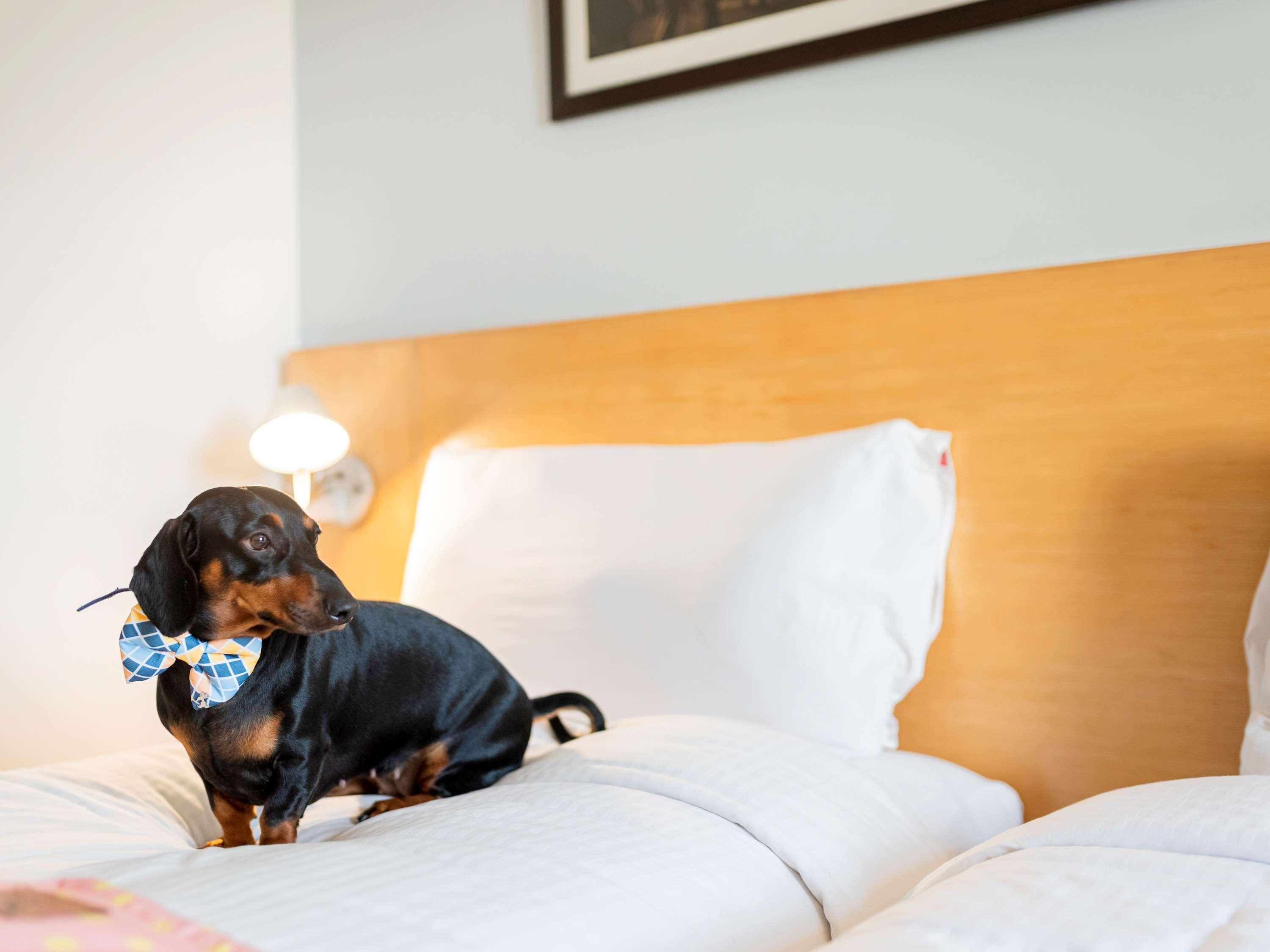 Ibis Chennai Omr - An Accor Brand Hotell Eksteriør bilde