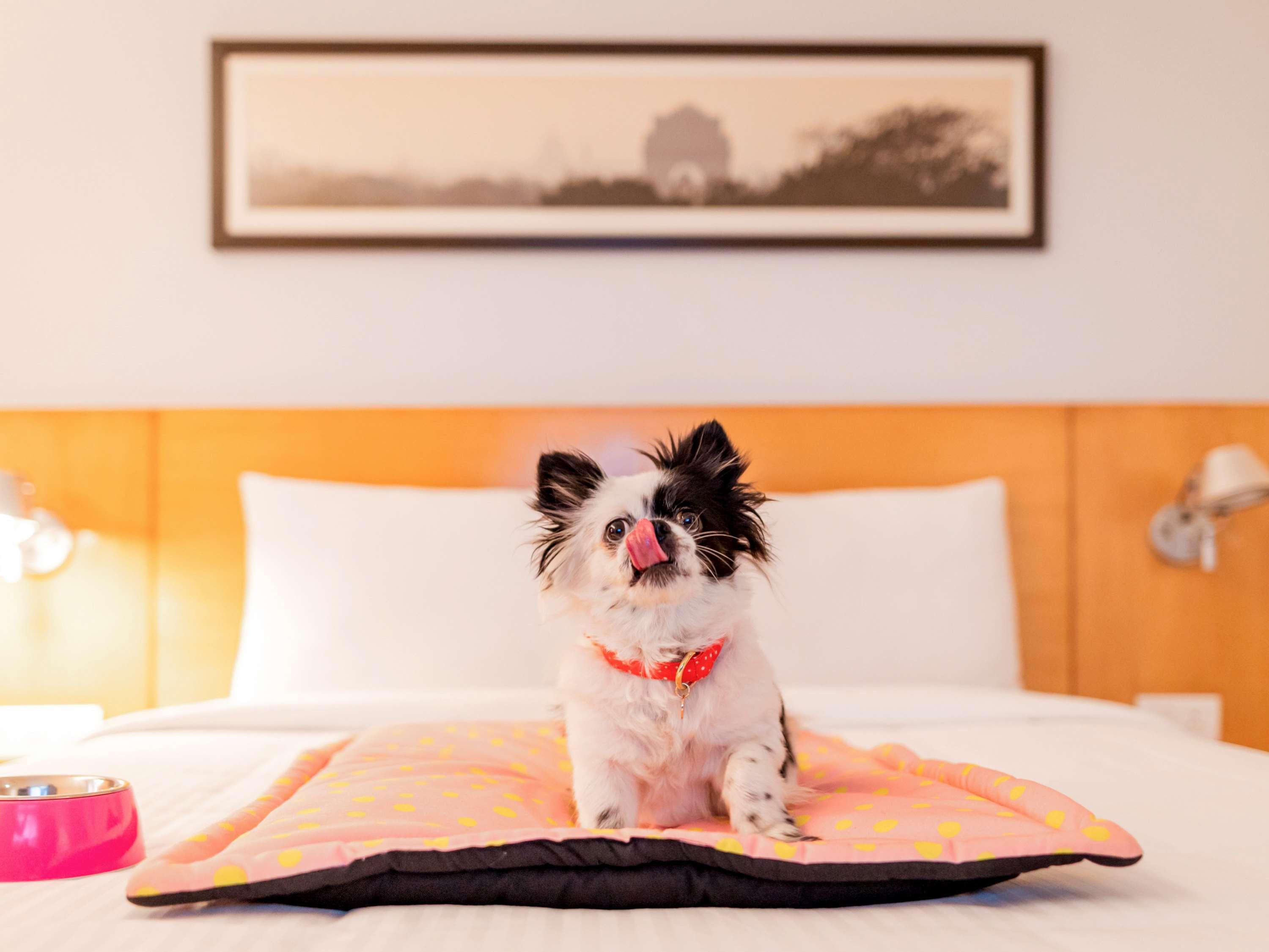 Ibis Chennai Omr - An Accor Brand Hotell Eksteriør bilde